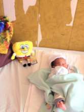 Baby in treatment with AAI Toy