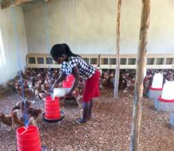The new egg cooperative in Bombofo village