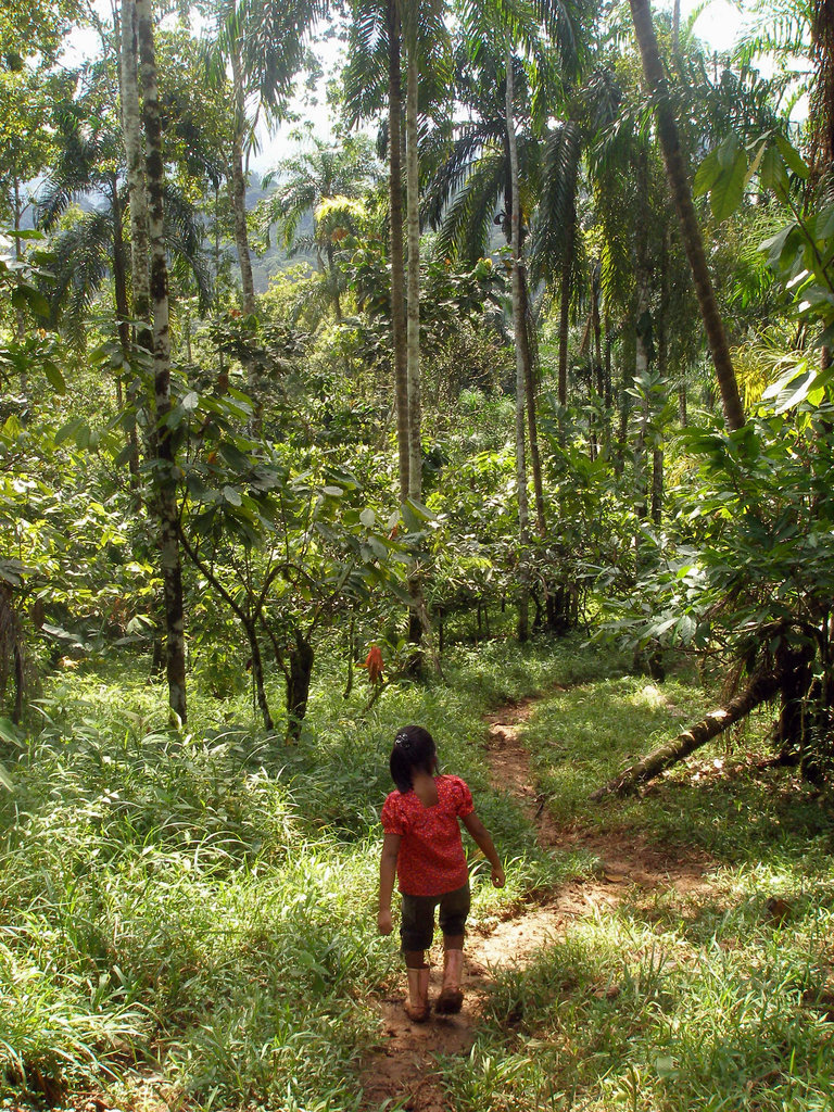Provide Clean Water for the Naso of Panama