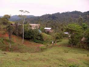 Surveying