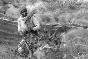 Khumbulani
