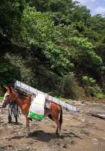 Transportation of materials by horse