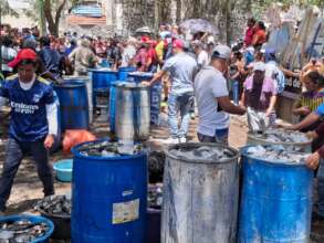 Fish dinner for everyone today!