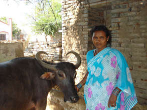 Milch Animal support to disadvantaged women