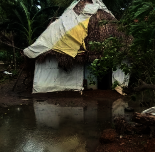 Goats for Tamil Nadu Cyclone Nivar recovery
