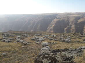 Terefe's habitat near Shehano
