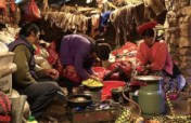 Secure food safety for 100 families amidst drought