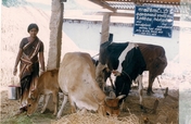 Give micro credit loans to Women in India