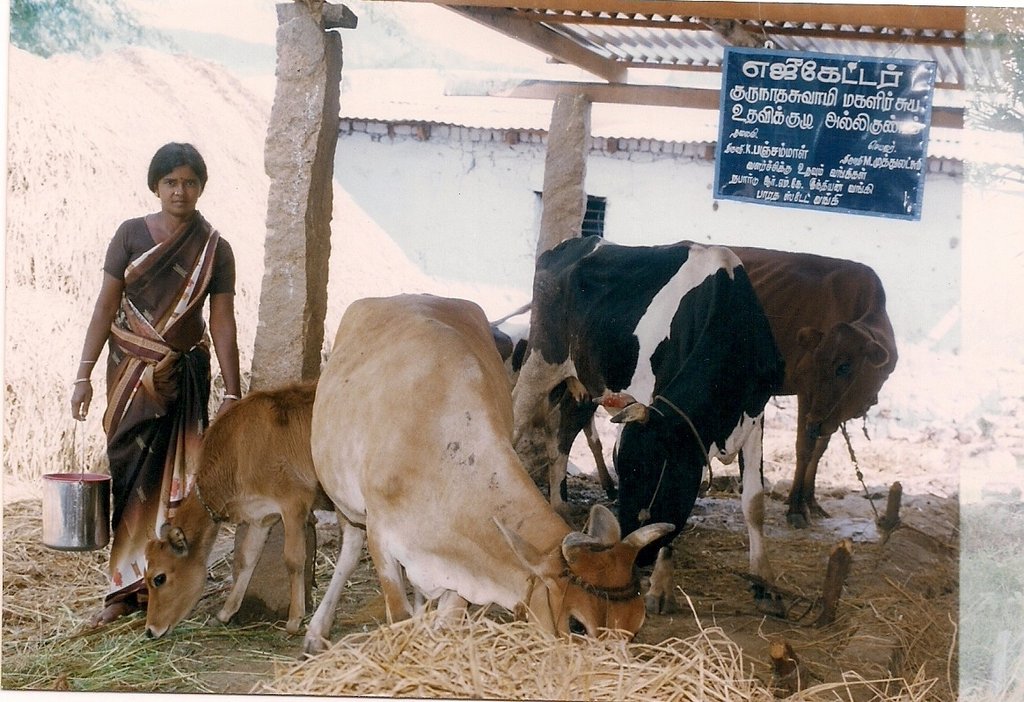 Give micro credit loans to Women in India