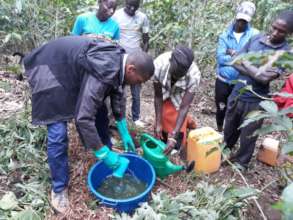 Staff in the land to teach Women