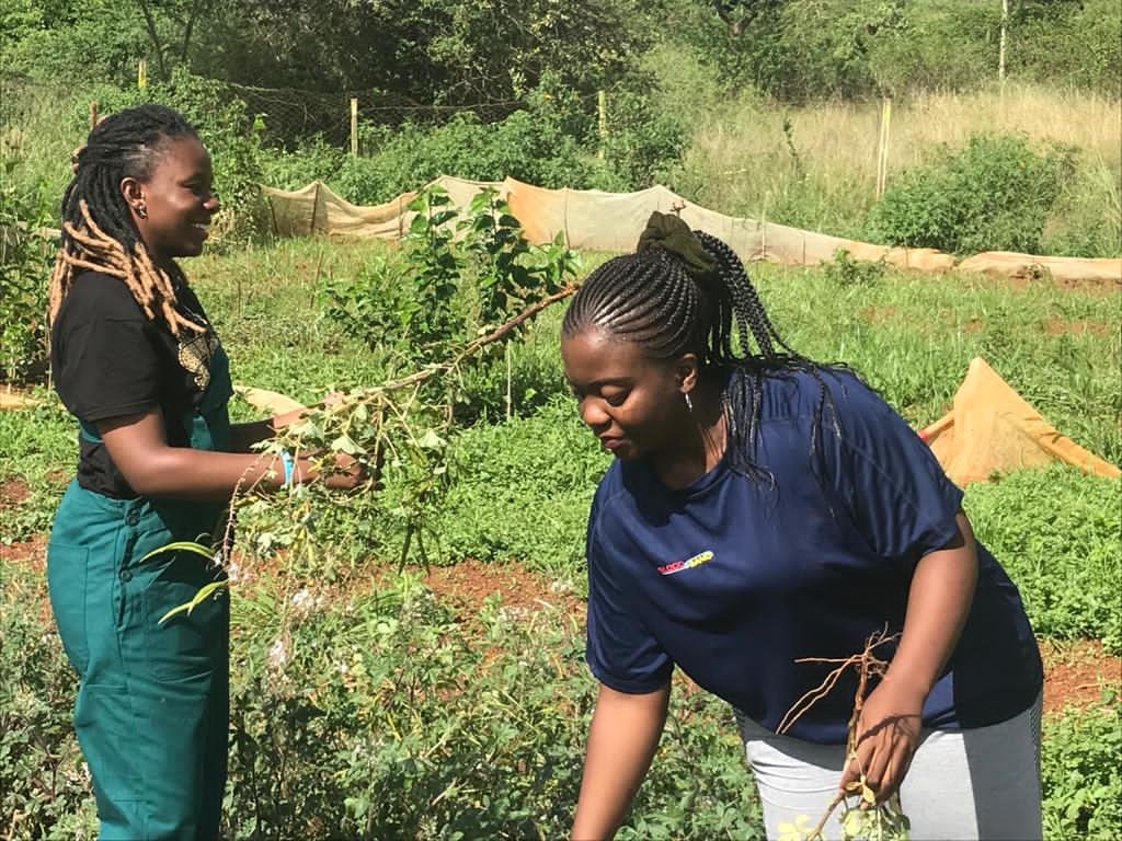 Empowering 200 women and 100 Kids in Masisi/DRC