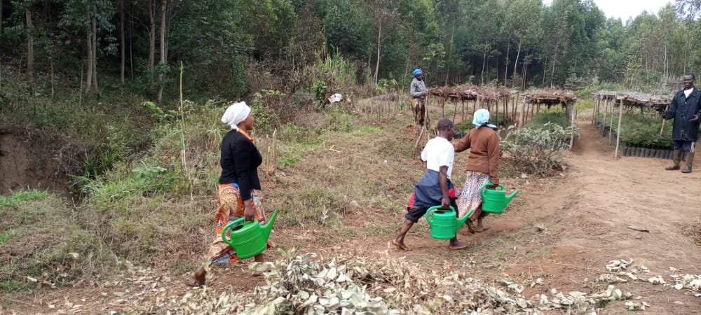 day to day Activities of women in Masisi Village.