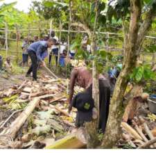 Staff and Survivor women working in the field.