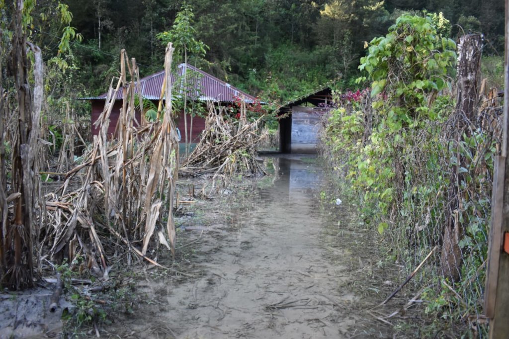 Hurricane Eta and Iota Response in Maya Territory