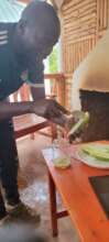 Preparing cucumber seeds for germination