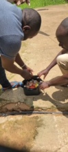 Learning to Use Compost
