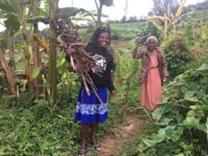 Jolly Gathers Firewood for Yudes