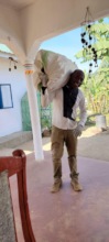 Collecting Waste