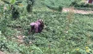 Joyce, Feeling Better and Working in Her Garden