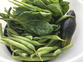 Healthy Veggies