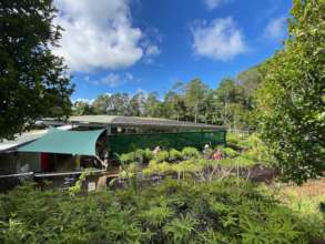 Visiting TREAT nursery at Lake Eacham