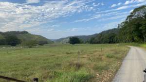Future restoration site - to the national park