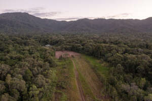New Nursery Site_ Martin Stringer