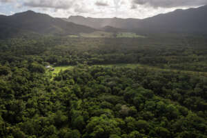 Aerial View of Airstrip - RR Nursery
