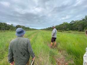 Air-Strip_Survey