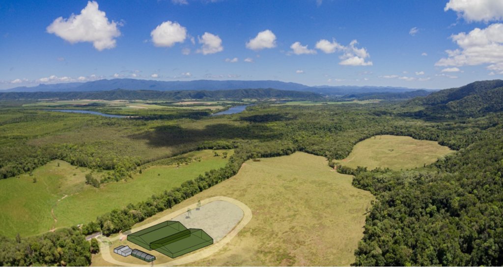 Build a Native Tree Nursery for the Daintree
