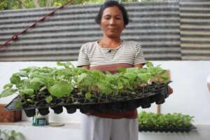 livelihood-based education