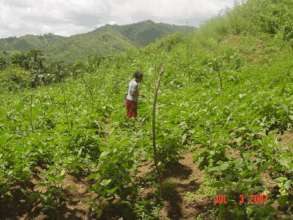 farm-based education