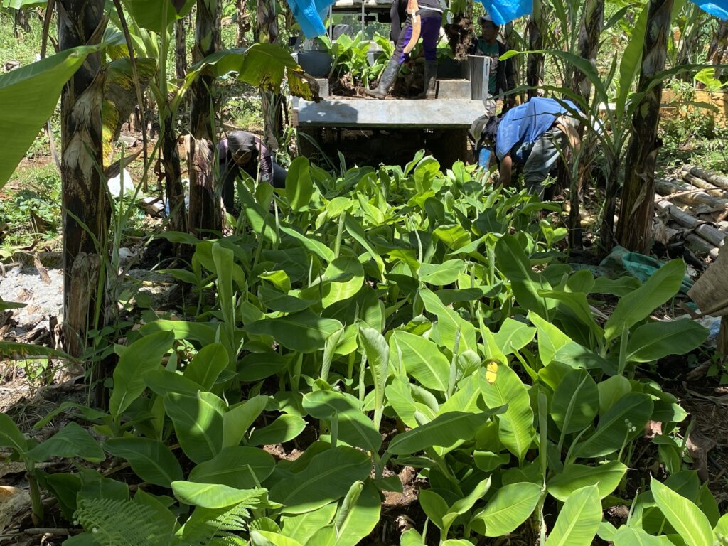 Continue with support