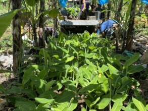 Continue with support