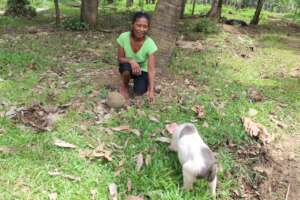Supporting small enterprise