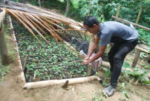 providing farming inputs