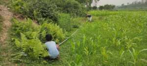 Two members of our team are measuring the area
