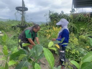 One-on-one mentoring