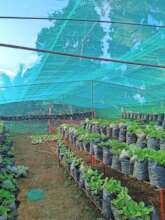 Supporting small-scale livelihoods