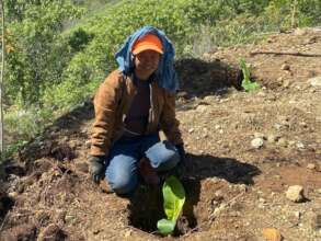 Continue with assistance