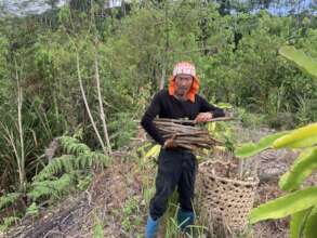 Agro-reforestation
