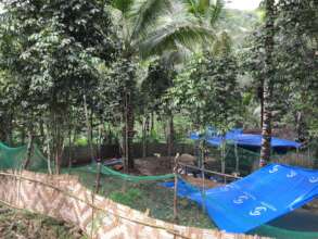Establishing a food supplier farm