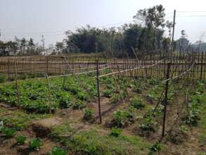 ETC's demonstration farms allow hands-on training