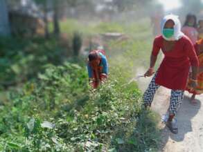 Radha Krishna women's group community clean-up