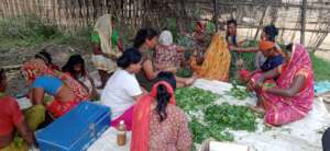 Sunder Women's Group making organic pesticide