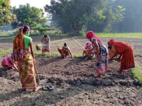 Working together to plant a vegetable garden