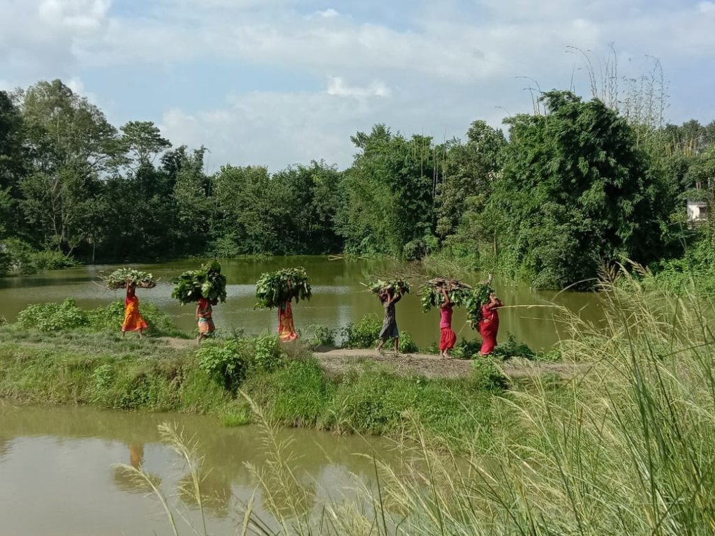 Better lives for 1,000 families in Ramdhuni, Nepal