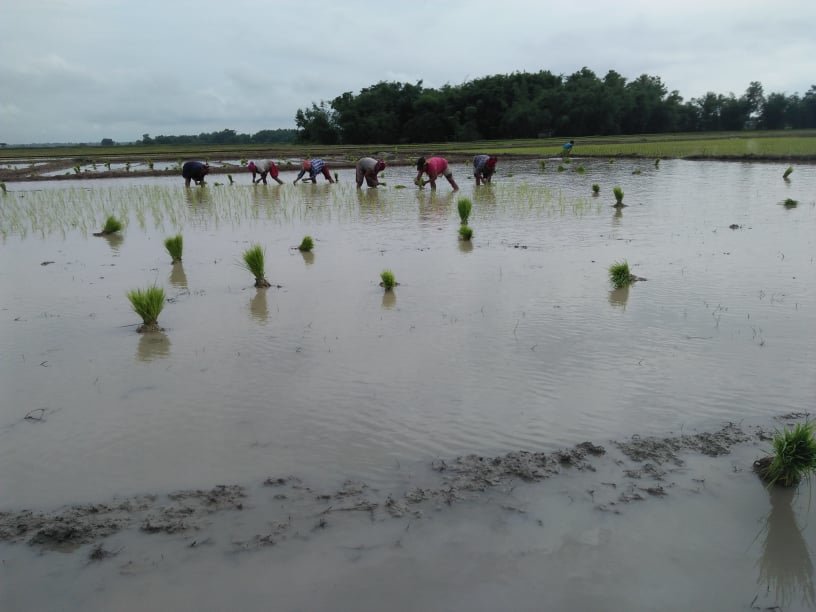 Better lives for 1,000 families in Ramdhuni, Nepal