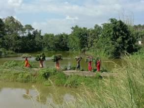 Collecting fodder for animals