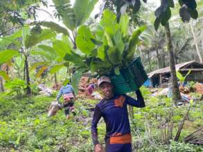 Providing organic fertilizer